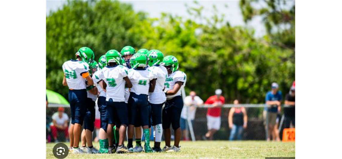 Estero Mustangs Football & Cheer