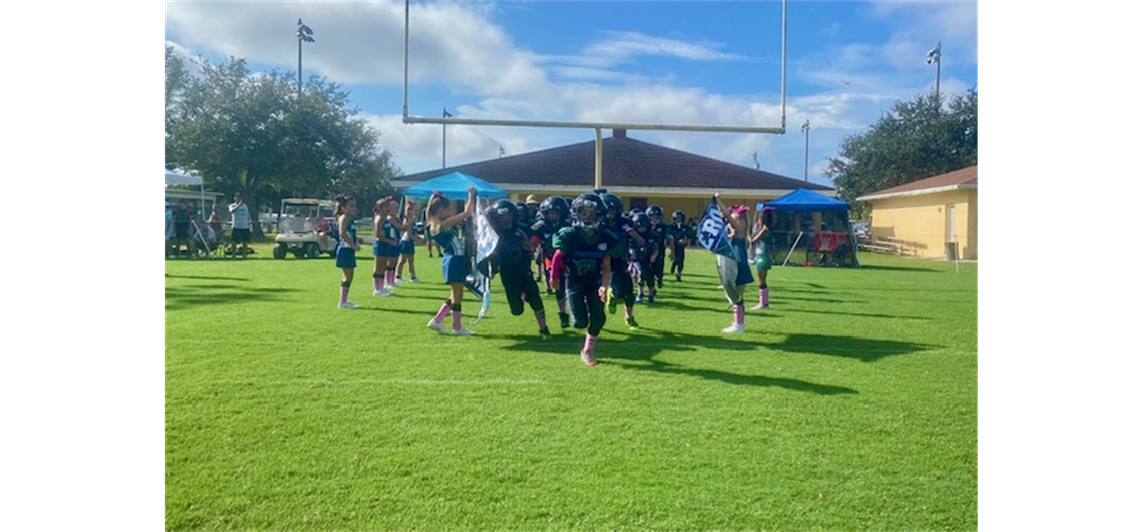 Estero Mustangs Football & Cheer